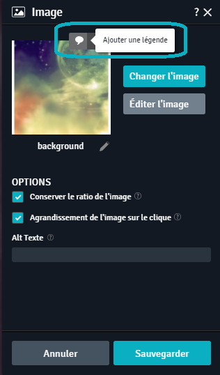 Ajt_Lgd_Img.png