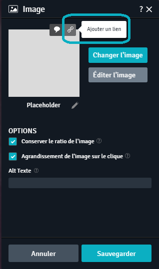 Ajt_Lien_Img.png