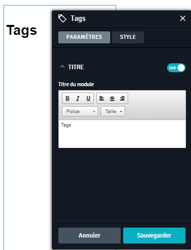 Blog__tag_param_tres.png